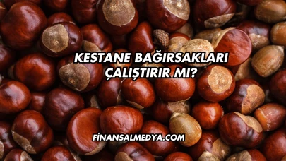 Kestane Bağırsakları Çalıştırır mı?