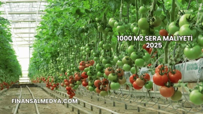 1000 m2 Sera Maliyeti 2025