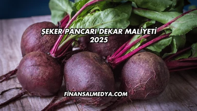 Şeker Pancarı Dekar Maliyeti 2025