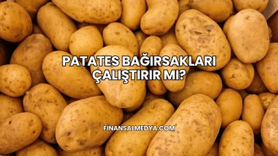 Patates Bağırsakları Çalıştırır mı?