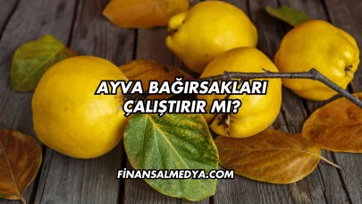 Ayva Bağırsakları Çalıştırır mı?