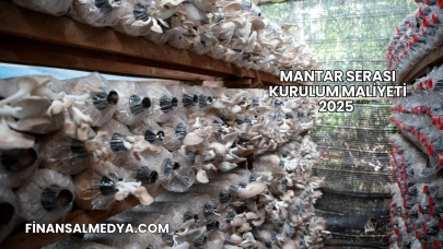 Mantar Serası Kurulum Maliyeti 2025