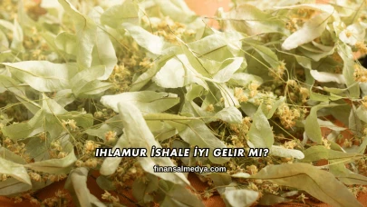 Ihlamur İshale İyi Gelir mi?