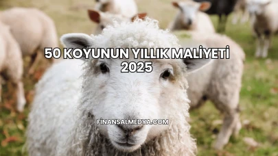 50 Koyunun Yıllık Maliyeti 2025