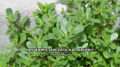 Haşlanmış Semizotu Kaç Kalori?
