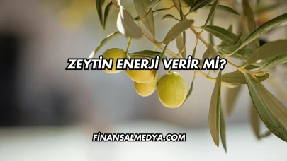 Zeytin Enerji Verir mi?