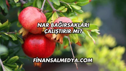Nar Bağırsakları Çalıştırır mı?