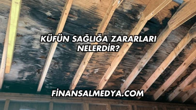 Küfün Sağlığa Zararları Nelerdir?