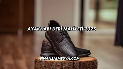 Ayakkabı Deri Maliyeti 2025