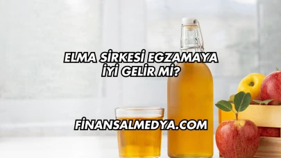 Elma Sirkesi Egzamaya İyi Gelir mi?