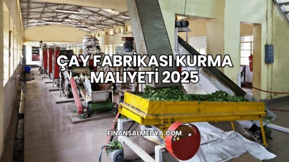 Çay Fabrikası Kurma Maliyeti 2025