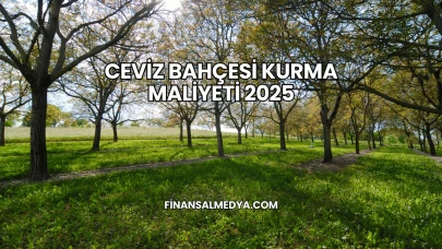 Ceviz Bahçesi Kurma Maliyeti 2025