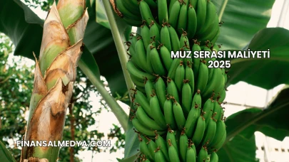 Muz Serası Maliyeti 2025