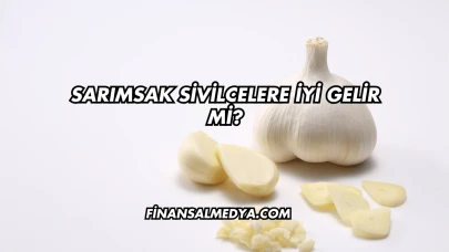 Sarımsak Sivilcelere İyi Gelir mi?
