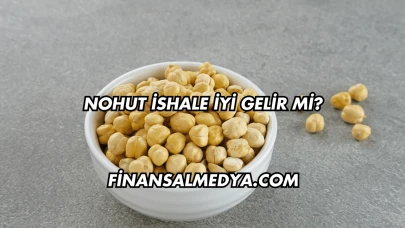 Nohut İshale İyi Gelir mi?
