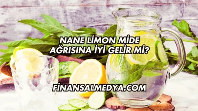Nane Limon Mide Ağrısına İyi Gelir mi?