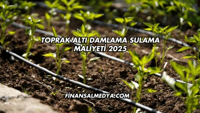 Toprak Altı Damlama Sulama Maliyeti 2025