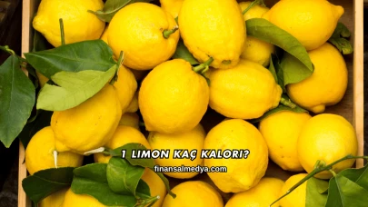1 Limon Kaç Kalori?