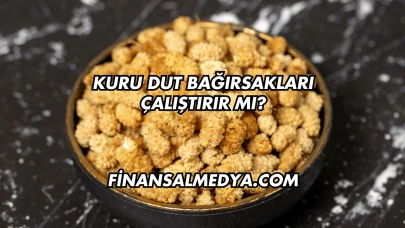 Kuru Dut Bağırsakları Çalıştırır mı?