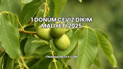 1 Dönüm Ceviz Dikim Maliyeti 2025