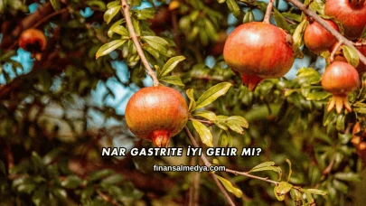 Nar Gastrite İyi Gelir mi?