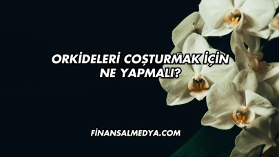 Orkideleri Coşturmak İçin Ne Yapmalı?