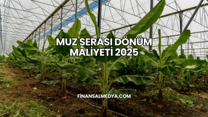 Muz Serası Dönüm Maliyeti 2025