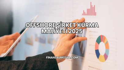 Offshore Şirket Kurma Maliyeti 2025