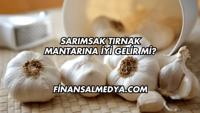 Sarımsak Tırnak Mantarına İyi Gelir mi?