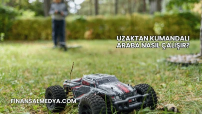 Uzaktan Kumandalı Araba Nasıl Çalışır?