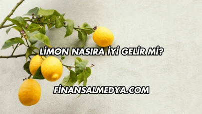Limon Nasıra İyi Gelir mi?