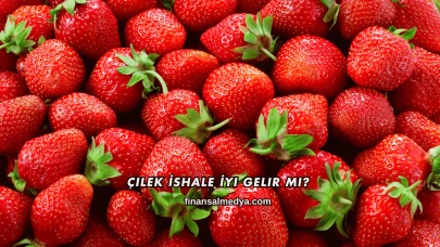 Çilek İshale İyi Gelir mi?