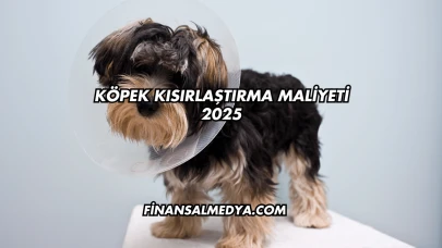 Köpek Kısırlaştırma Maliyeti 2025
