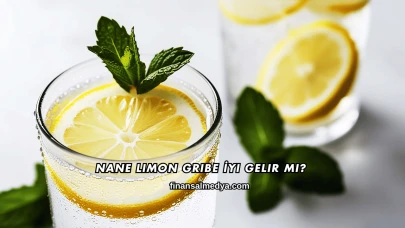 Nane Limon Gribe İyi Gelir mi?