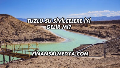 Tuzlu Su Sivilcelere İyi Gelir mi?