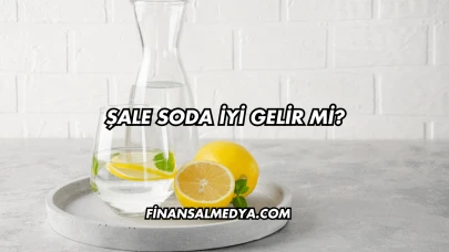 Şale Soda İyi Gelir mi?