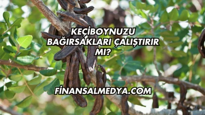 Keçiboynuzu Bağırsakları Çalıştırır mı?