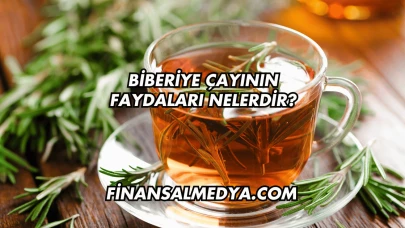 Biberiye Çayının Faydaları Nelerdir?