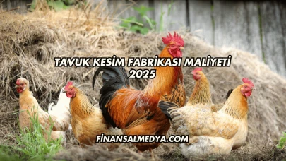 Tavuk Kesim Fabrikası Maliyeti 2025