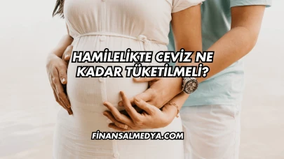 Hamilelikte Ceviz Ne Kadar Tüketilmeli?
