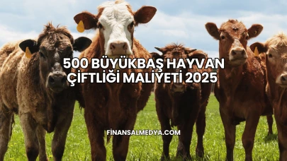 500 Büyükbaş Hayvan Çiftliği Maliyeti 2025