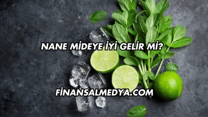 Nane Mideye İyi Gelir mi?