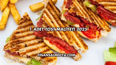 1 Adet Tost Maliyeti 2025