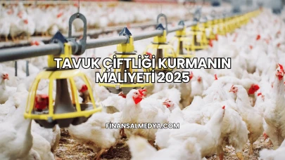 Tavuk Çiftliği Kurmanın Maliyeti 2025