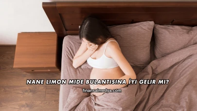 Nane Limon Mide Bulantısına İyi Gelir mi?