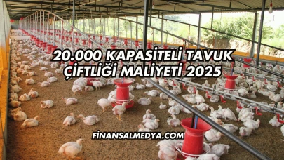 20.000 Kapasiteli Tavuk Çiftliği Maliyeti 2025