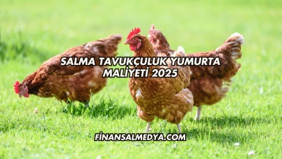 Salma Tavukçuluk Yumurta Maliyeti 2025