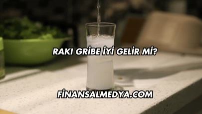 Rakı Gribe İyi Gelir mi?