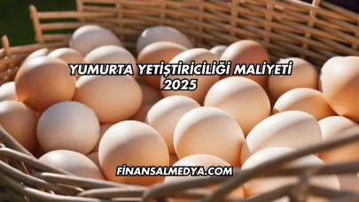 Yumurta Yetiştiriciliği Maliyeti 2025