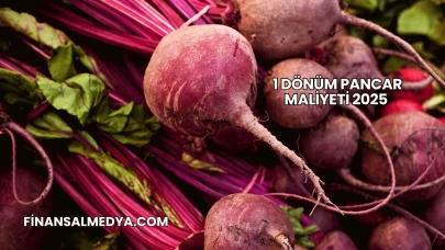 1 Dönüm Pancar Maliyeti 2025